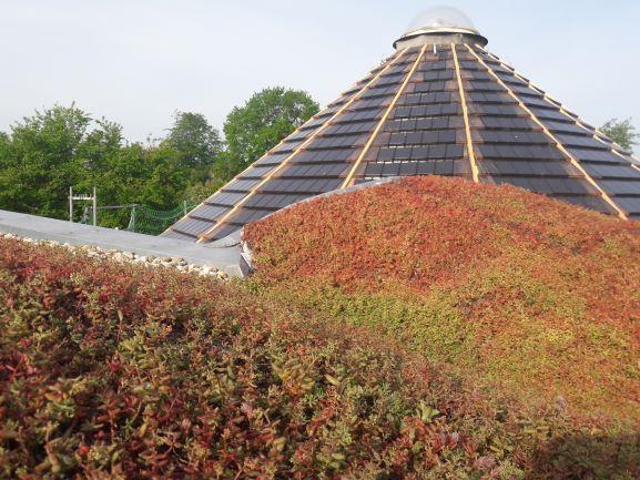 Jahresrückblick2021-Ausblick22-0006